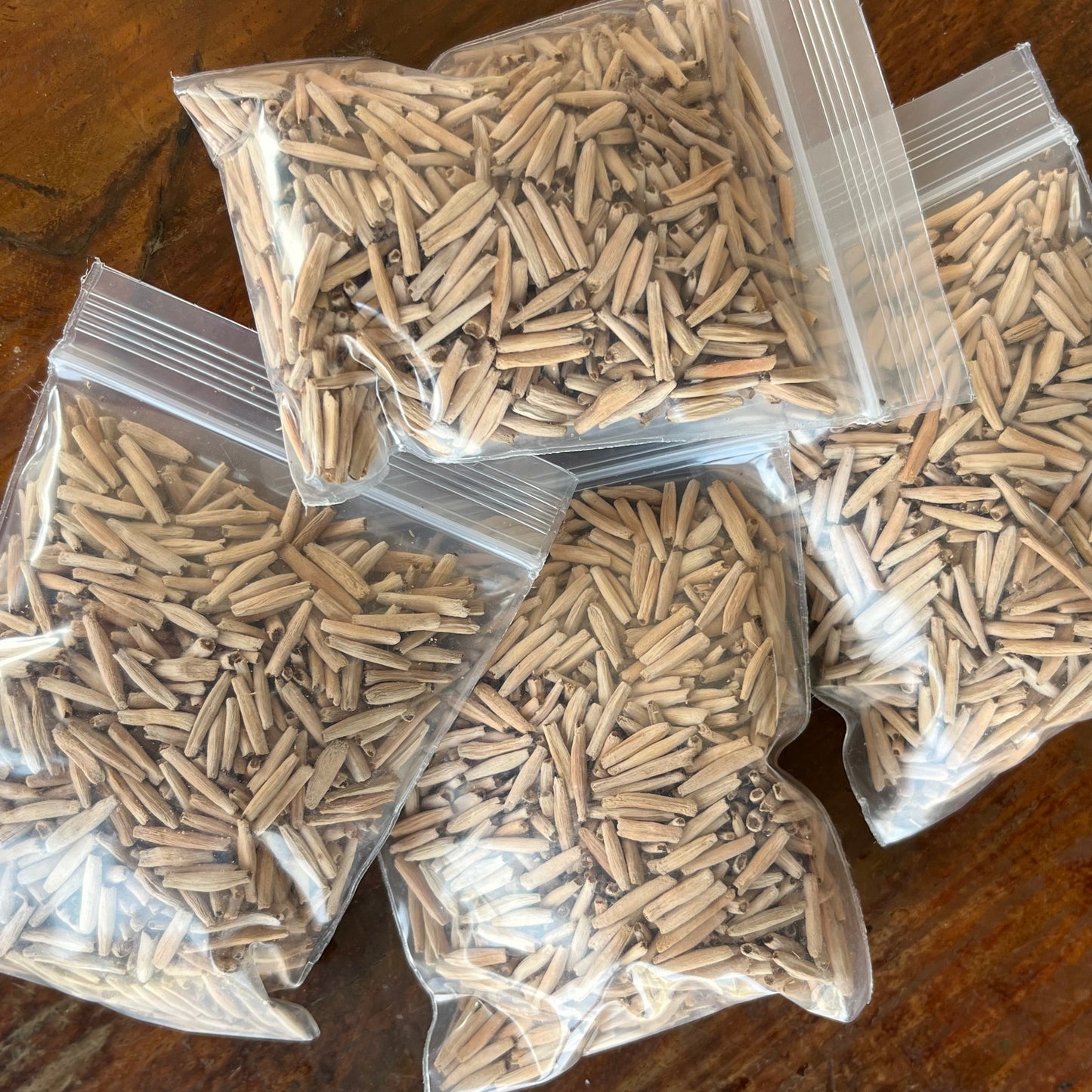 Adenium Thai Socotranum Seeds
